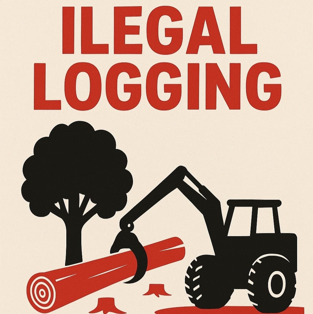 BANJIR BUKAN TAKDIR, TAPI ULAH ILEGAL LOGGING