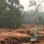 Kasus kayu ilegal Sumatera ditangani Kejaksaan Agung