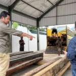 Kemenhut Tangkap Tangan Pengangkutan Ratusan Kayu Ilegal di Luwu Raya