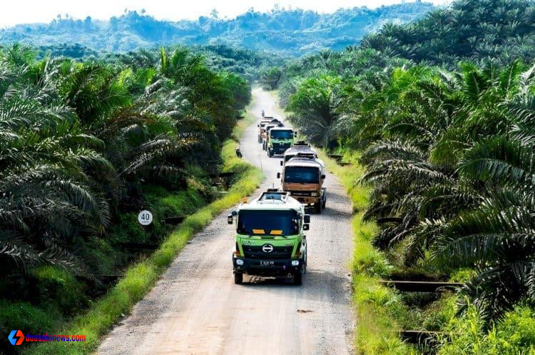pengembangan kelapa sawit Indonesia untuk energi nasional