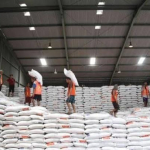 stok beras Kolaka di gudang Bulog tetap aman dan mencukupi