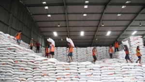 stok beras Kolaka di gudang Bulog tetap aman dan mencukupi