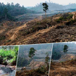 Kepala Adat Soroti Dugaan Penimbunan Anak Sungai di Wilayah Adat Muara Malungai