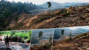 Kepala Adat Soroti Dugaan Penimbunan Anak Sungai di Wilayah Adat Muara Malungai